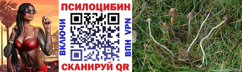 Псилоцибиновые грибы ЛСД  сайты даркнета клад  Талдом 